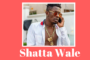 Shatta Wale Wished his son Happy Birth Day